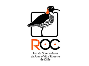 ROC-red-de-observadores-aves-silvestres