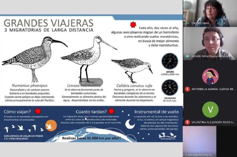 Puerto de Ideas y Centro Bahía Lomas enseñan a estudiantes el cautivador mundo de las aves